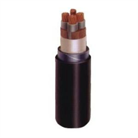 Cáp điện lực cách điện XLPE Cáp điện lực cách điện XLPE